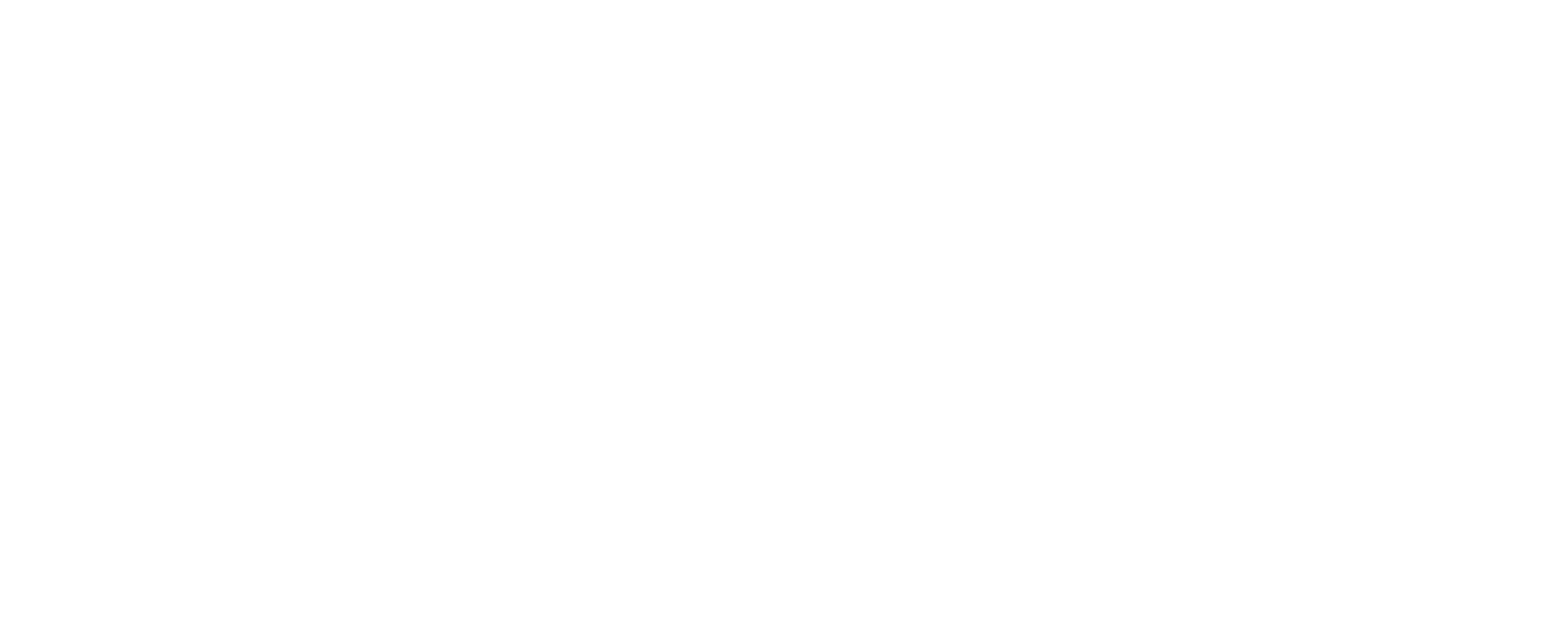 FIDx_Logo-2021_allwhite-01-2